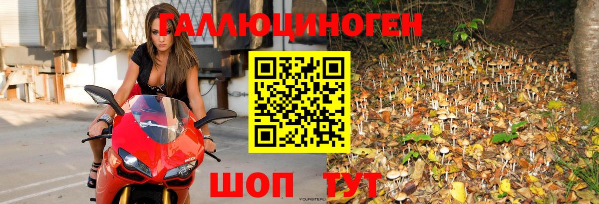 Галлюциногенные грибы мухоморы Донецк