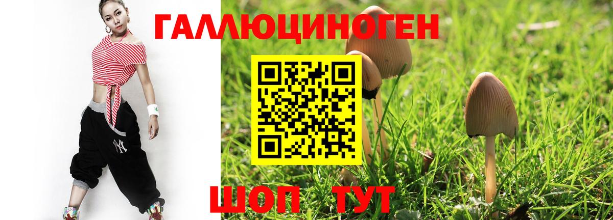Псилоцибиновые грибы Psilocybine cubensis  магазин продажи наркотиков  Вход с VPN  Донецк  Псилоцибиновые грибы MAGIC MUSHROOMS 